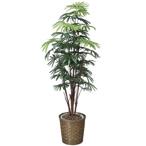 シュロチク 観葉植物 造花 鉢植え プラント C3504-250