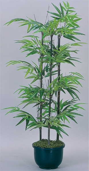 観葉植物 黒竹　マルニ 黒竹 観葉植物 おしゃれ 人気 人工観葉 インテリアグリーン
