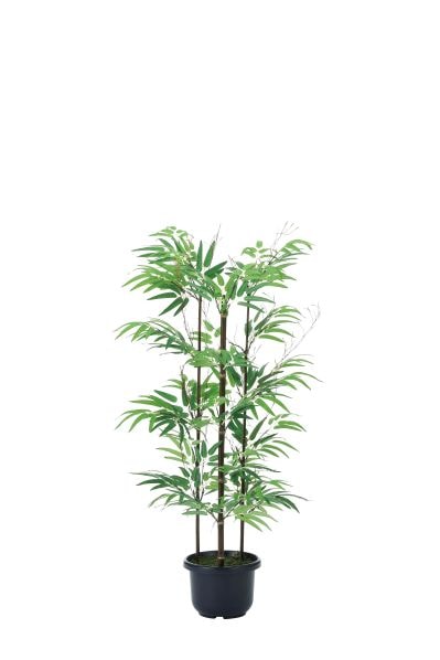 黒竹 観葉植物 鉢植え プラント 人工植物 C3508-100（商品番号：wc3508
