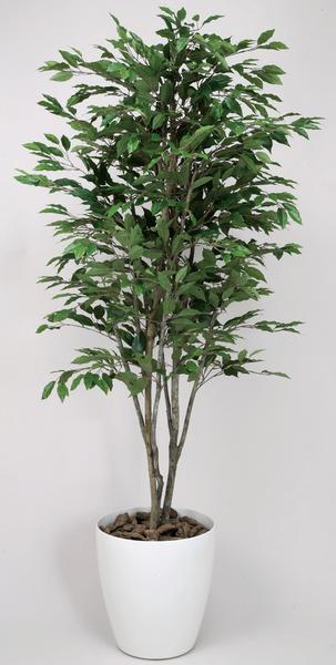 ベンジャミン 観葉植物 180cm フェイク 植木 C3604-350 通販（商品番号