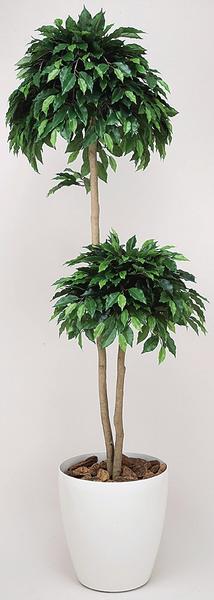 観葉植物　ベンジャミン ベンジャミン 観葉植物 造花 鉢植え プラント C3605-300（商品番号