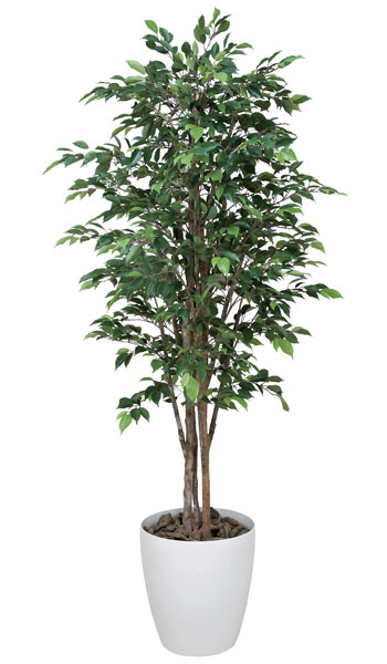 ベンジャミン 観葉植物 造花 鉢植え プラント C3808-400