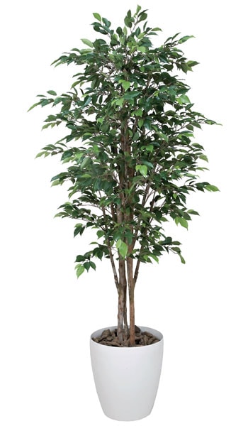 ベンジャミン 観葉植物 造花 鉢植え プラント C3812-360（商品番号