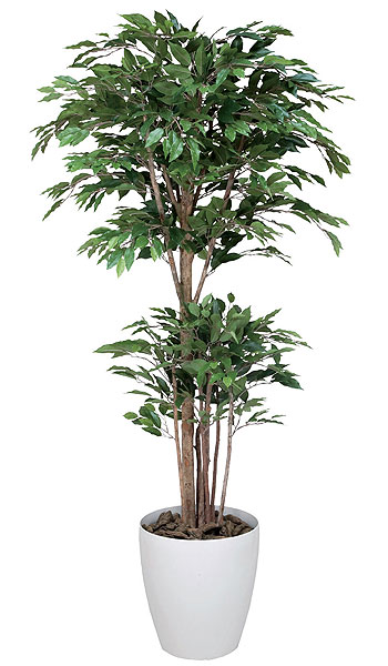 ベンジャミン 観葉植物 180cm 手作り 鉢植え C3812-360 通販