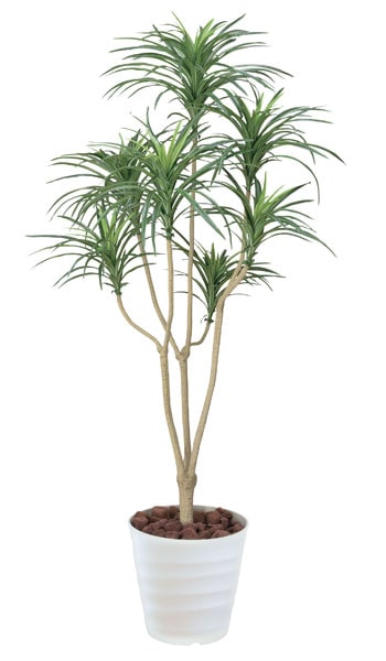 ユッカ 観葉植物 造花 鉢植え プラント C3907-250