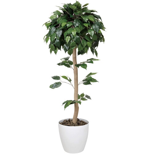 お値下げ‼️ ベンジャミン観葉植物 ベンジャミン 観葉植物 造花 鉢植え プラント C4006-200（商品番号