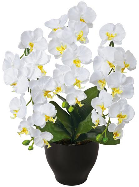 胡蝶蘭セリースW 観葉植物 造花 鉢植え プラント EE0901-120