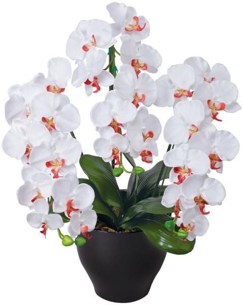 胡蝶蘭セリースW/AB 観葉植物 造花 鉢植え プラント EE0902-120