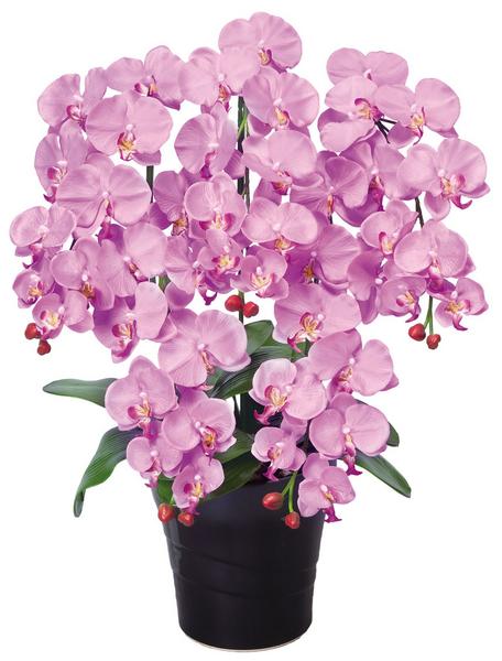 クイーン胡蝶蘭L 観葉植物 造花 鉢植え プラント EE0904-180