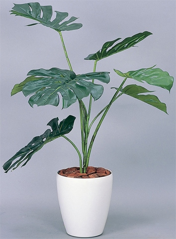 モンステラ 観葉植物 造花 鉢植え プラント EE4610-96（商品番号