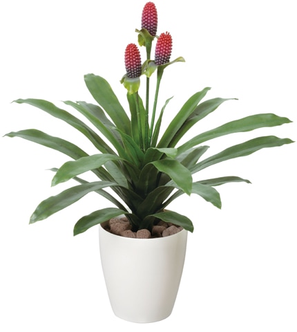 マガベ花付 観葉植物 造花 鉢植え プラント EE5107-96