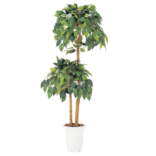 ベンジャミン 観葉植物 造花 鉢植え プラント C4006-200（商品番号 