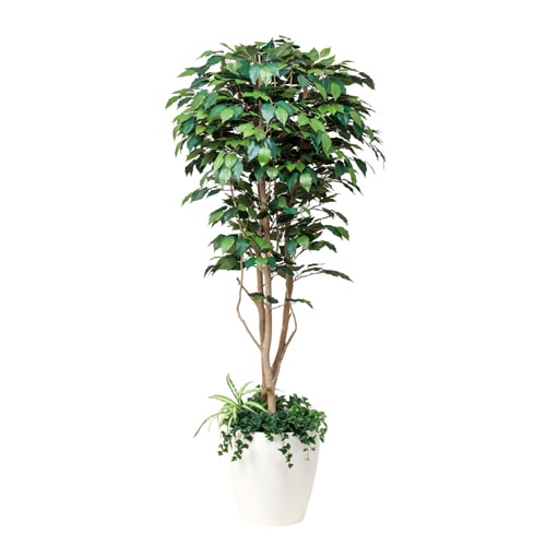 フィカスベンジャミン 観葉植物 造花 鉢植え プラント 508A540-16