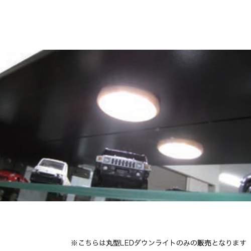 LEDライト マキシム用追加LEDライト マキシムコレクションケース専用