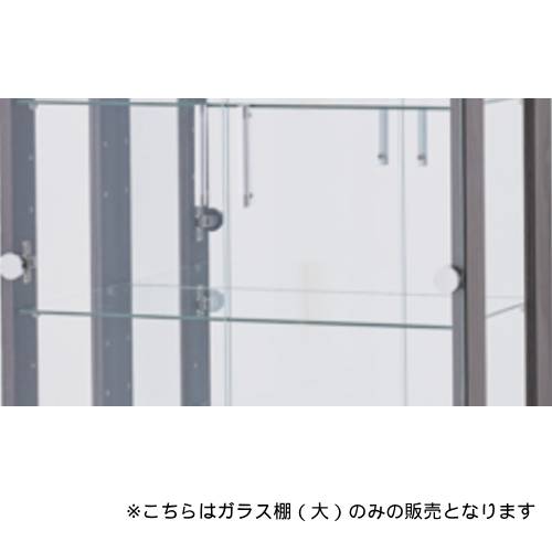 ガラスケース ショーケース ホビー収納 全面ガラス コレクション収納 ガラス棚板 追加棚板 チャームコレクションボード用 ガラスキャビネット