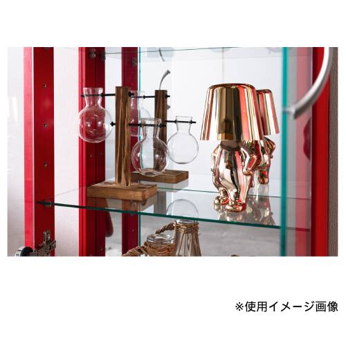 エステW45用 追加棚板 追加ガラス棚 オプション 幅45cmコレクション