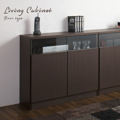 キャビネット スリム ガラス扉 本棚 ガラスキャビネット FR-050（商品