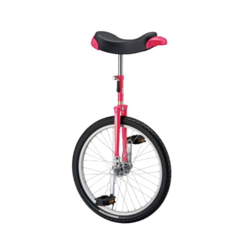 一輪車 20インチ 子供用 遊具 適正身長130～160cm S-9032-33（商品番号