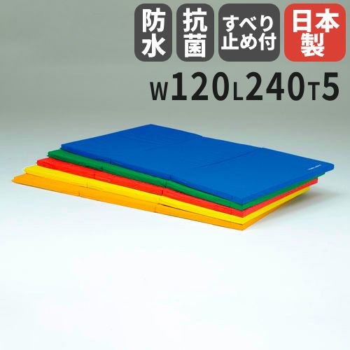 法人限定 体操マット 滑り止め付き 5cm厚 9号帆布 120×300×5cm 指導ライン入合成スポンジマット エバーマット トーエイライト SGマーク付き T1978 T-1978