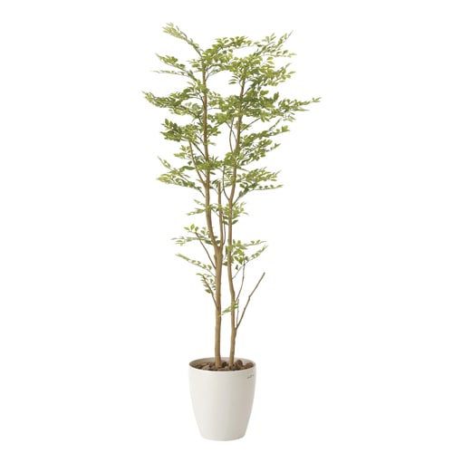 アーバンブランチツリー 180cm 光触媒人工植物 幅60×奥行50×高さ180cm
