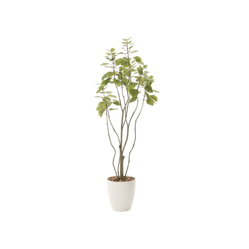 アーバンブランチウンベラータ 180cm 光触媒人工植物 幅65×奥行60×高さ