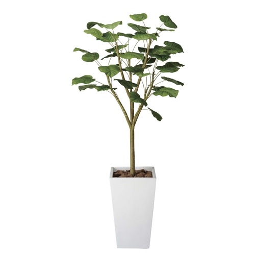 アーバンブランチウンベラータ 180cm 光触媒人工植物 幅65×奥行60×高さ