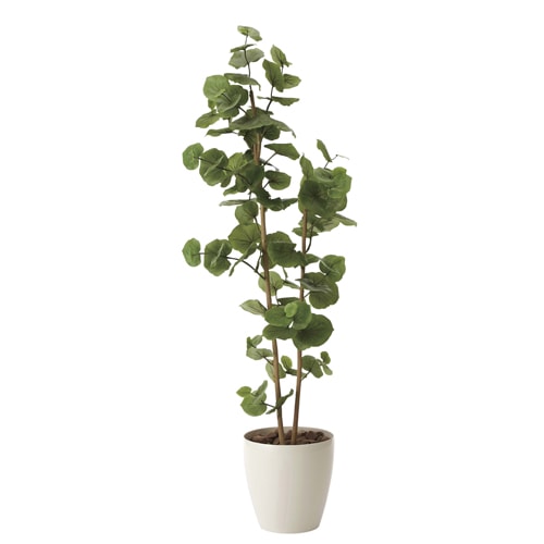 パキラ 観葉植物 造花 鉢植え プラント C4008-200（商品番号：wc4008