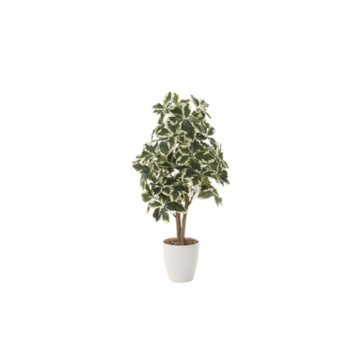 アーバンブランチウンベラータ 180cm 光触媒人工植物 幅65×奥行60×高さ