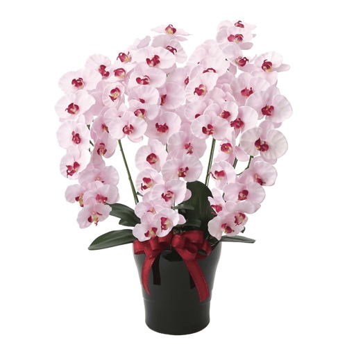 胡蝶蘭 5本立 光触媒人工植物 幅50×奥行45×高さ75cm 652A220-72