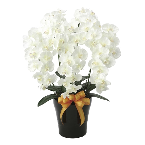 胡蝶蘭 5本立 光触媒人工植物 幅50×奥行45×高さ74cm 876A240-69（商品