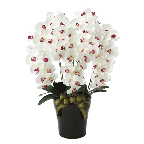 胡蝶蘭 5本立 光触媒人工植物 幅50×奥行45×高さ74cm 876A240-69（商品