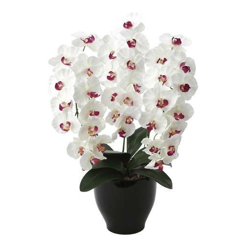 胡蝶蘭 光触媒人工植物 幅45×奥行40×高さ68cm 661A150-72