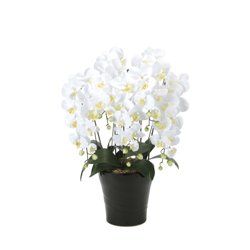 胡蝶蘭 5本立 光触媒人工植物 幅53×奥行50×高さ74cm 654A180-73