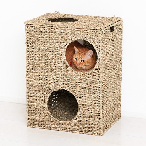 キャットハウス 箱型 ねこハウス 猫用ベッド ちぐら 28714（商品