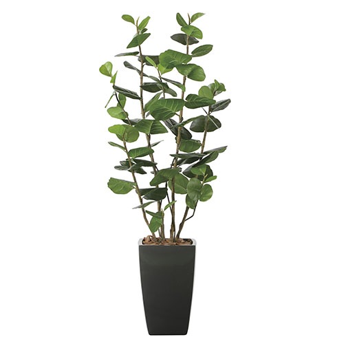 ◇日本製 ◇◇◇フェイクグリーン アーバンシーグレープ1.8高さ1.8m光