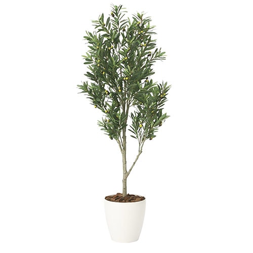 ☆日本製☆☆☆フェイクグリーン/観葉植物 【52cm ツインソフトローズ】 オリーブの木 光の楽園 165cm 造花 フェイクグリーン 2096A480