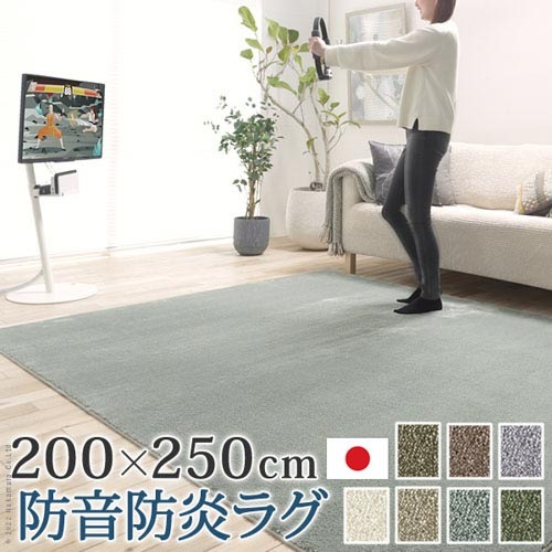 防水ラグ（カーペット）　200cm×250cm 200×250］極厚25mm 高反発ラグ 滑り止め付 フランネル生地 ホット
