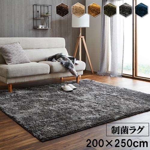 ラグ イケヒコ 200×250cm マット カーペット RFN200250