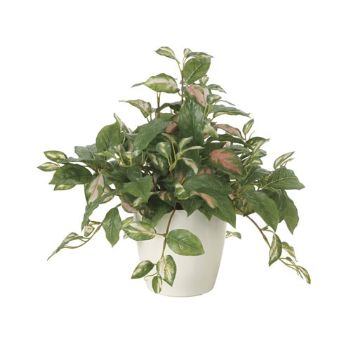 モンステラ 観葉植物 造花 鉢植え プラント C4202-150（商品番号