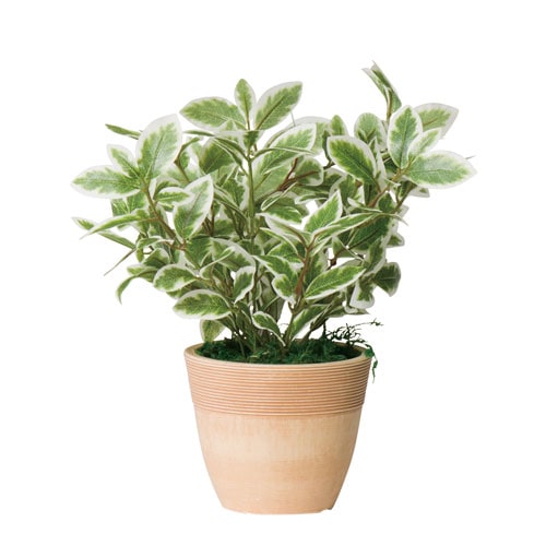 フェイクグリーン ミニリーフG/W 幅200×奥行200×高さ210mm 光触媒 アートグリーン G-MLGW