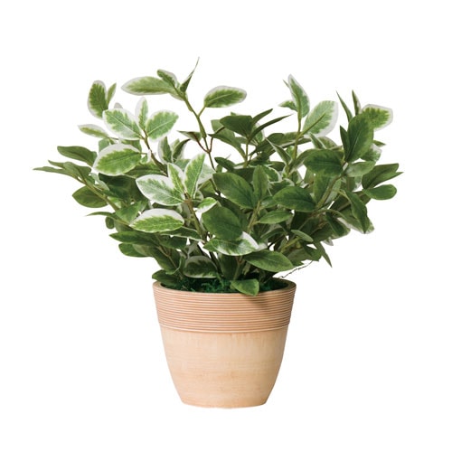 フェイクグリーン ミニリーフL 幅250×奥行250×高さ360mm 光触媒 アートグリーン G-MLL