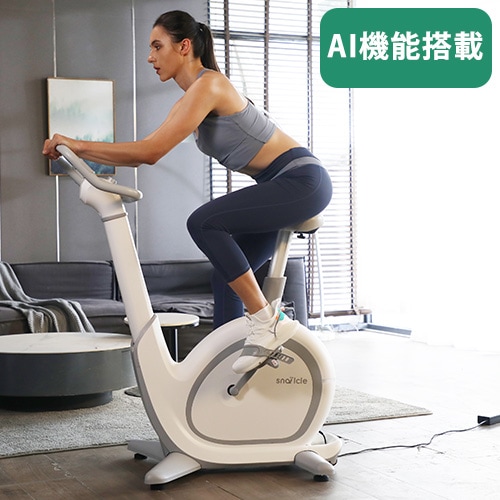リカンベントバイク オーモテック 電動 フィットネスバイク