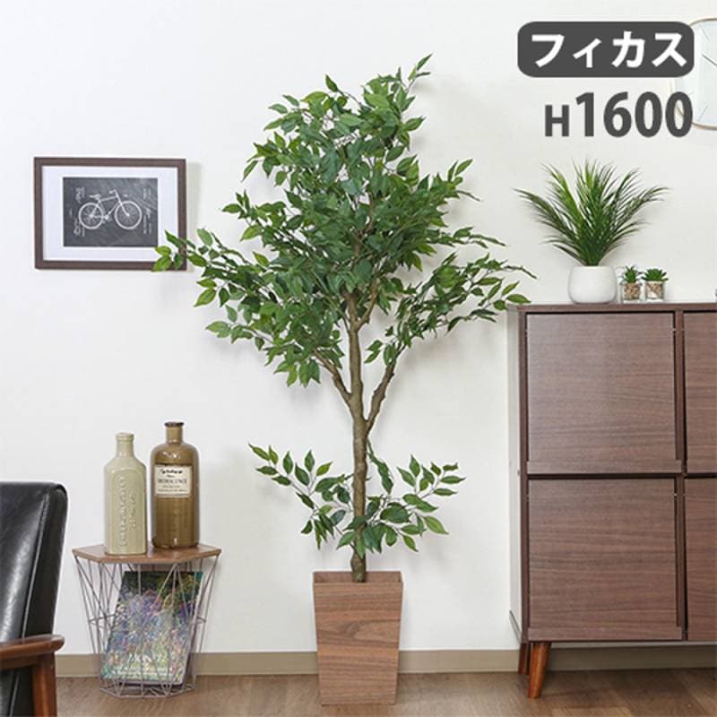 フェイクグリーン フィカス 幅700×奥行750×高さ1600mm アートグリーン