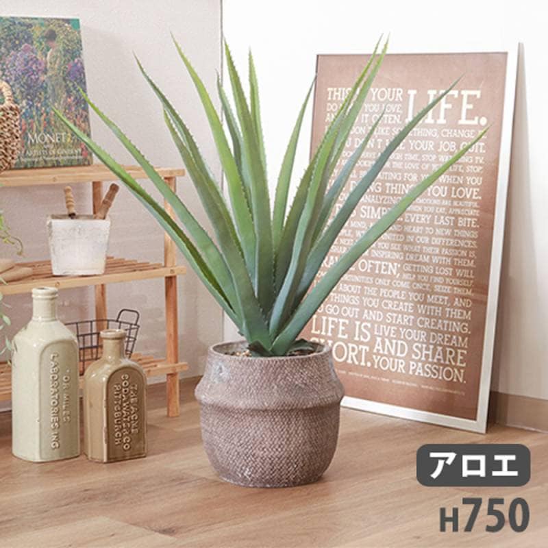 観葉植物 光触媒プラントの通販 オフィス家具のLOOKIT(ルキット)