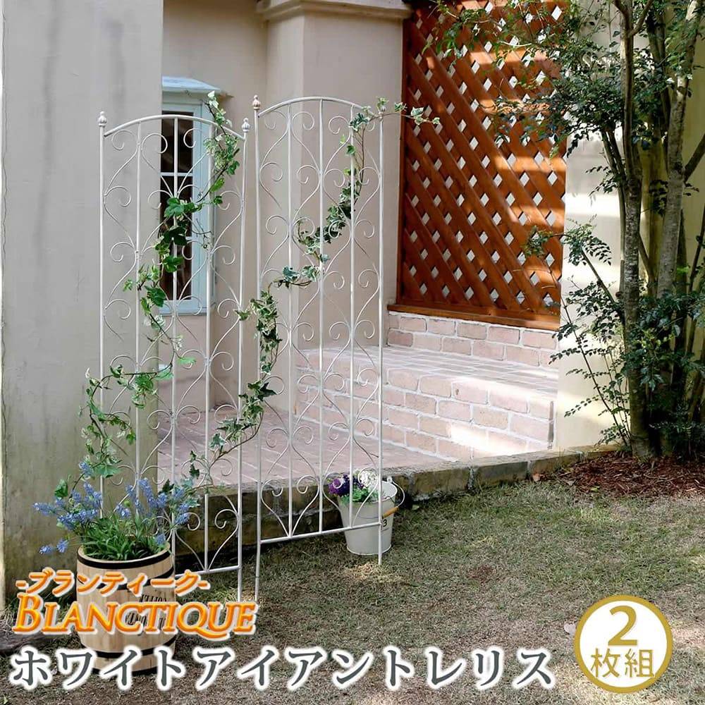 トレリス 4枚組 高さ147cm ガーデンフェンス フェンス SPL-8923-4-WHT