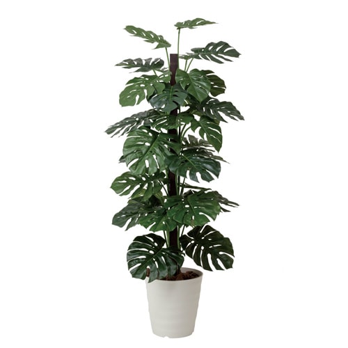 モンステラ 観葉植物 鉢植え モンステラ 観葉植物 造花 鉢植え プラント EE4610-96（商品番号