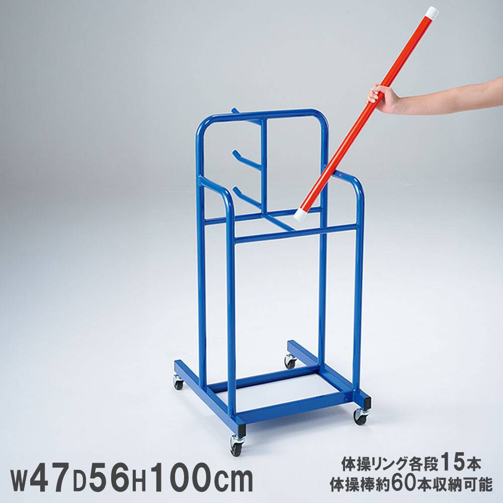 三角鉄棒 折りたたみ エバニュー 幅250×奥行120×高さ100cm スチール製