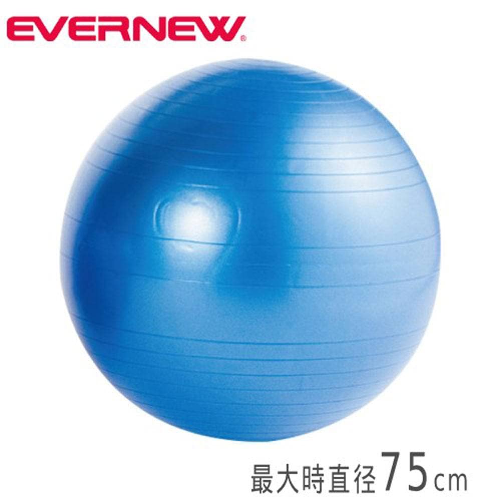 ジムボール エバニュー 55cm エクササイズボール 体幹ボール ETB623