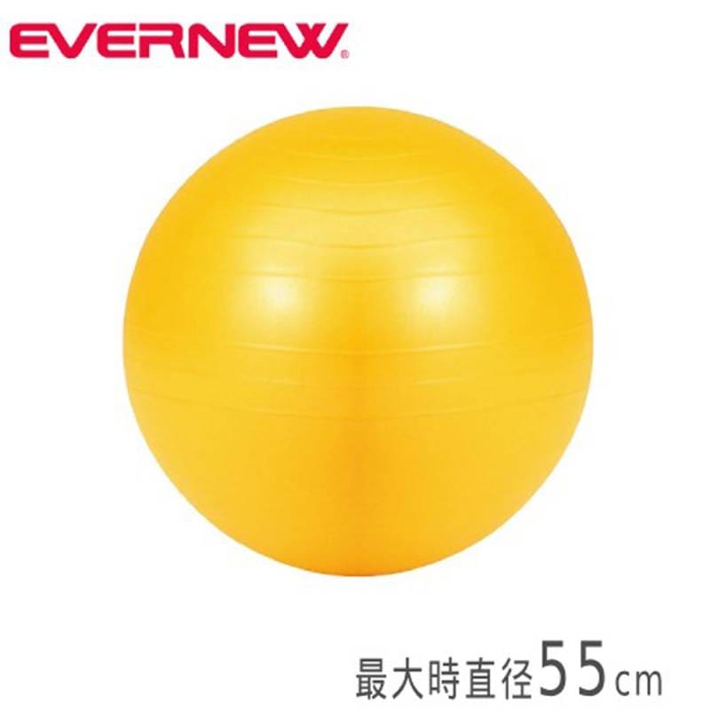 ジムボール エバニュー 55cm エクササイズボール 体幹ボール ETB623