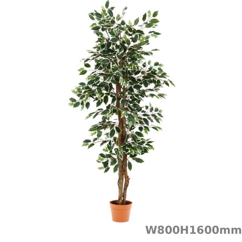 観葉植物 フィカス 幅800×高さ1600mm グリーン フェイクグリーン 19843